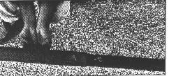 roto20